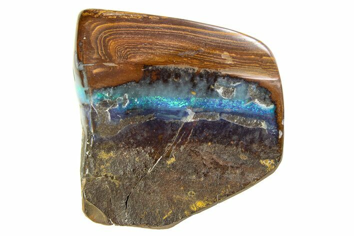 Galactic Boulder Opal Specimen - Queensland, Australia #351904